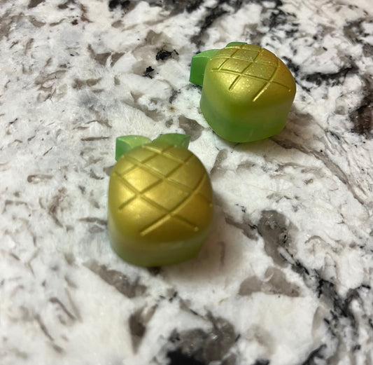     Pineapple Paradise Magnets