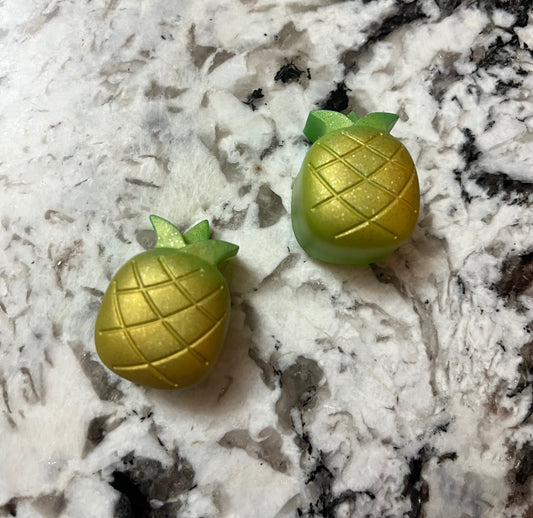     Pineapple Paradise Magnets