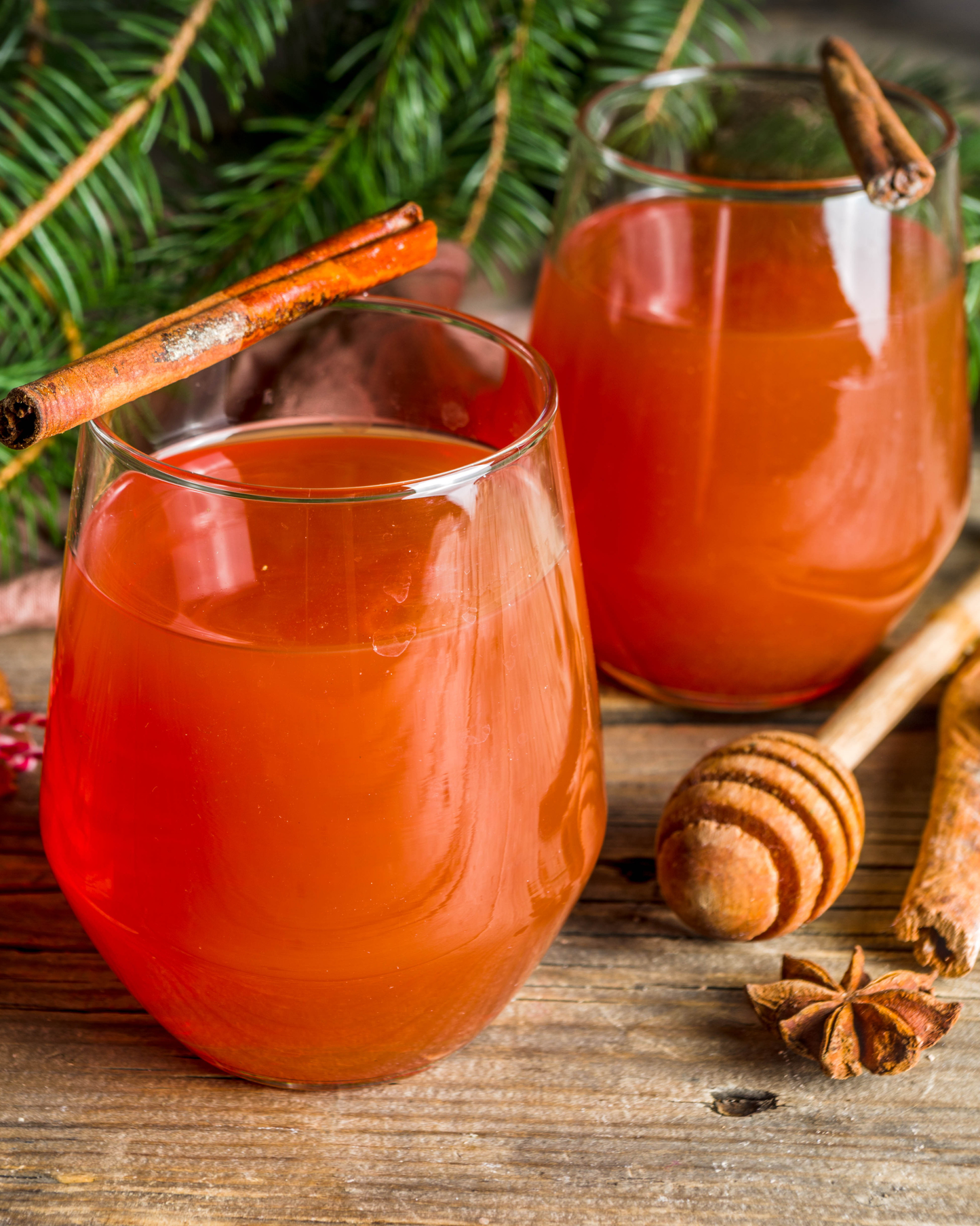 Holiday Wassail | Soy Wax Melt