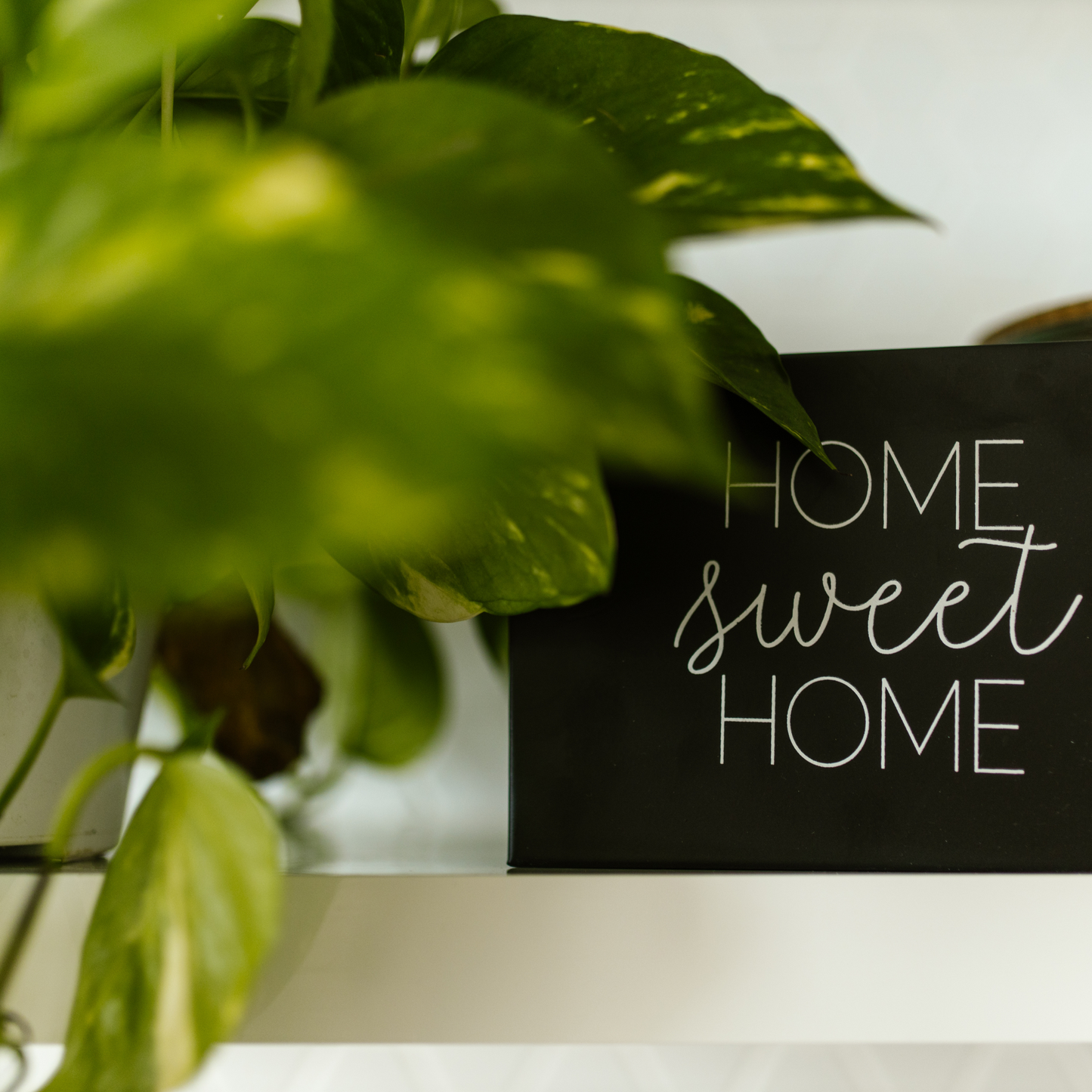 Heart + Home Collection | Soy Wax Melts  | Snap Bars | Cozy Home Fragrances | Maxilyn House