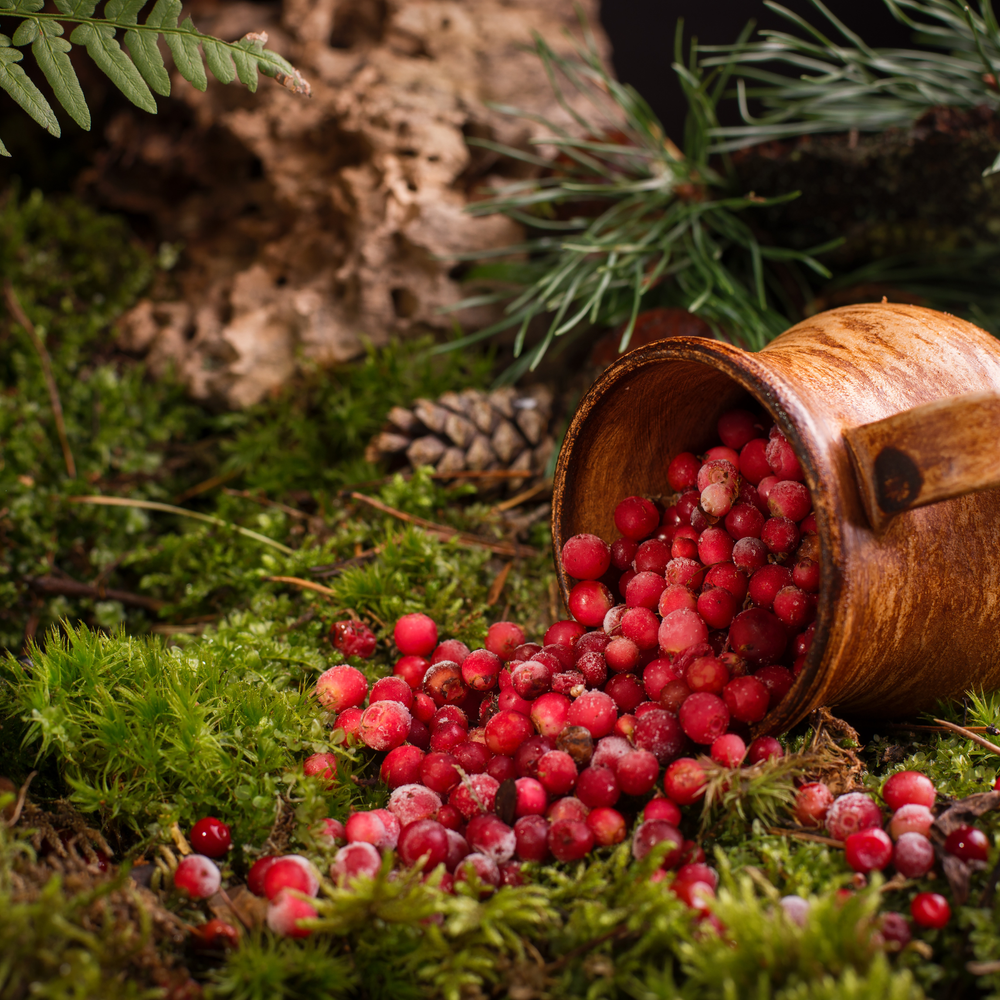 Wild Berry Woods | Soy Wax Melt