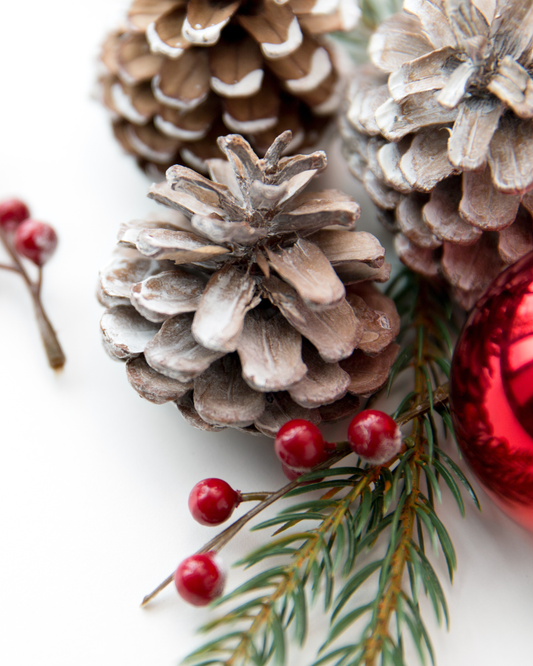 Winter Pine | Soy Wax Melt