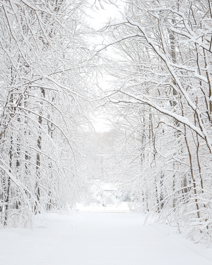 Winter Woods | Soy Wax Melt