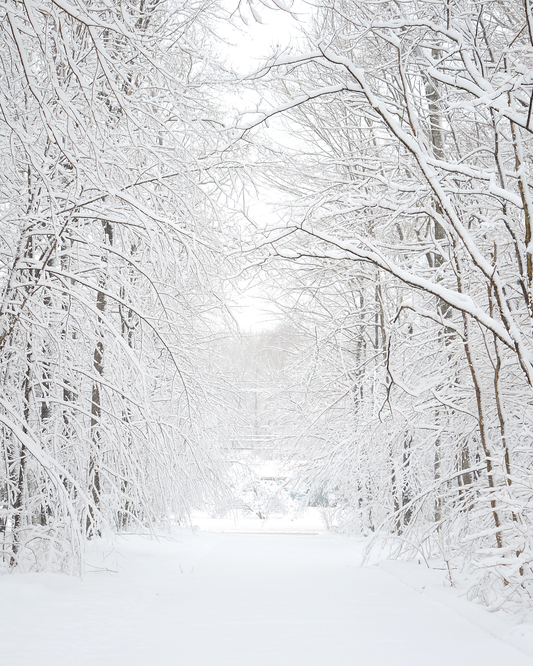 Winter Woods | Soy Wax Melt